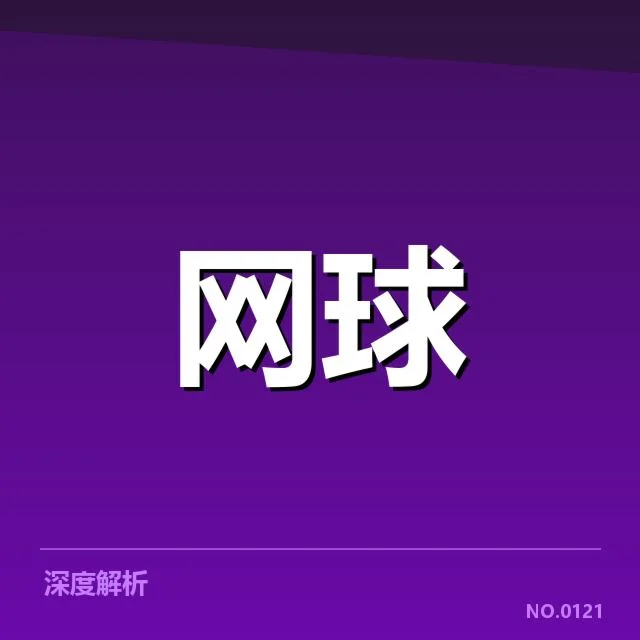 新生代球员崛起路径背后,年轻天才多维成长的关键因素和未来走向(6686vip)
