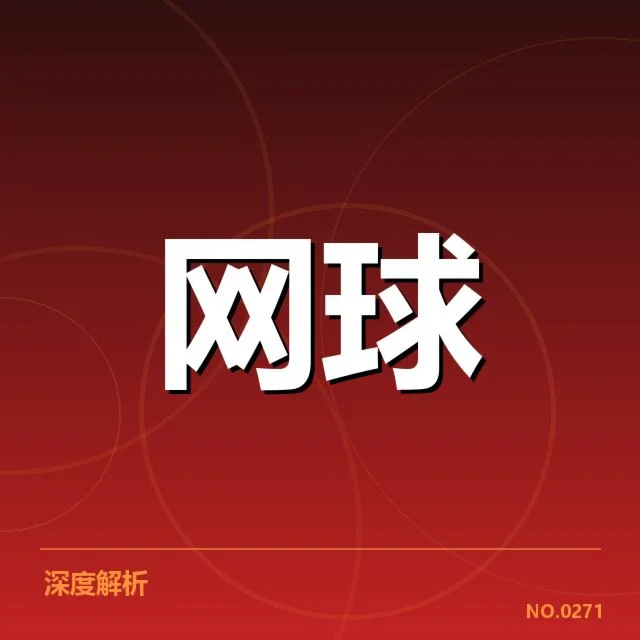 李娜复出传闻:运动员状态与未来发展存疑